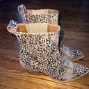 DV by Dolce Vit Dolce Vita Leopard Serna Booties Photo 4