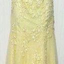 Amarra Lace Up Halter Fit & Flare Formal Dress Gown Embroidered Lace Yellow 2 Photo 0