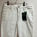 L.L.Bean  Petite Favorite Fit 1912 Jeans Photo 5