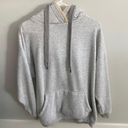 Aerie oversized coziest spring street hoodie Photo 0