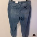 Lane Bryant  Boyfriend Jogger Jeans Photo 5