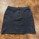 Banana Republic Stretch Skirt Size 2 Photo 0