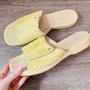 Bottega Veneta  Pony Hair Green Yellow Cheetah Slides Sandals Photo 1