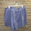 Lane Bryant Shorts Photo 1