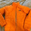 Patagonia Puffer Photo 3