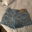 Levi's 550 Shorts Photo 1