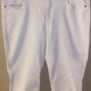 Lane Bryant  White Denim Capri - size 18 Photo 0