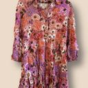 Rachel Parcell  Pink Botanical Floral Long-Sleeve Tiered Shirt Dress Size 12 Photo 6