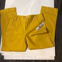 T Tahari Sunflower Straight Crop Trouser Size 2 Photo 1