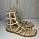 Stuart Weitzman  NWOB Kora Lace-Up Gladiator Sandal beige Size 8 $395 New Roman Photo 2