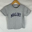 Brandy Melville John Galt Malibu Grey Cropped T-Shirt Photo 0