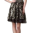 2 B. Rych  Dress Black Metallic Gold Silk Chiffon Sleeveless Party Dress Size 6 Photo 11