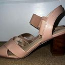 Unisa Blush Heels Photo 1