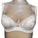 Felina  Lingerie Women’s 32D Cream Ivory Nude Lace Lightly Padded Underwire Bra Photo 1