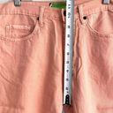 Bermuda Sandrine Rose Pink Salmon  Shorts Photo 11