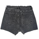 PacSun Pac-sun Shorts Photo 0