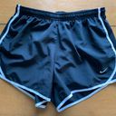 Nike Dri-Fit Running Shorts Photo 0