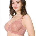 Blossom HSIA  Unlined Lace Underwire Bra Photo 3