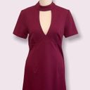 Trina Turk trina  A-Line Sheath Magenta Dress Size 6 Photo 0