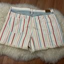 American Eagle  Mom Shorts Vintage Wash Striped Raw Hem 14 Photo 4