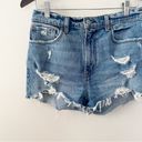 Abercrombie & Fitch  The Mom Short High Rise Jean Shorts Size 28/6 Distressed Photo 1