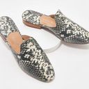 Jack Rogers  Delaney Snake Print Women's Slip-On Mules size 6.5 Photo 0