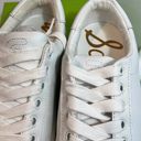 Sam Edelman Ethyl Low Top Sneaker walking summer fall comfortable chic Photo 6