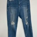 Lane Bryant  distressed high rise straight jeans Photo 4