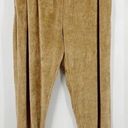 Abound NWT  Tan Velour Joggers Sweatpants Large Photo 0