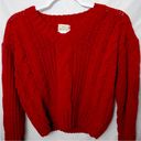 NWT: Poof! Apparel Rust Chenille Cable Knit V-Neck Sweater Photo 0