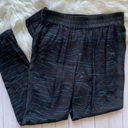 Rebecca Taylor  Blue Stripe Tiger Pants Joggers Pull On Photo 0