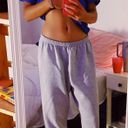 Gray Wide Leg Sweatpants Photo 0