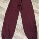 n:philanthropy  NWT Joggers Size Small Photo 0