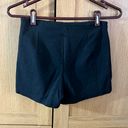 Brandy Melville Black Skort Photo 5