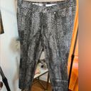 DKNY  Jeggings size 8 Photo 1