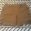 Mountain Hardwear Mountain Hardware tan hiking shorts in size large Photo 0