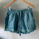 Sim & Sam  Teal Shorts Photo 0