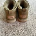UGG Mini Boots Photo 2