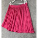 Rachel Zoe  Women's Pink Pleated Midi Skirt Elastic Waist Lined Size Large Photo 1