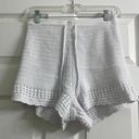 Aerie Coverup Shorts Photo 0