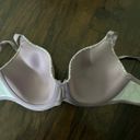 JC Penny Ambrielle Bra Photo 1