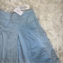 American Eagle NET  Pleated Skirt Size 0 Photo 1