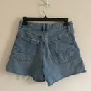 American Eagle Highest Rise 90s Boyfriend Short Photo 1