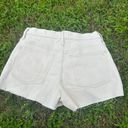 Madewell Shorts Photo 3