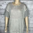 Terra & Sky  NWT Plus 1X (16W-18W) Gray Stripe Ruffle Sleeve Rayon Knit Top Shirt Photo 0