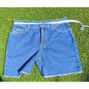 Ralph Lauren Womens Lauren Jeans Company  Green‎ Label Size 10 High Waist Shorts Photo 4