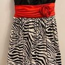 City Triangles  Zebra Printed Juniors Dress Photo 1