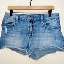 sts blue  Light Wash Denim High Rise Cut Off Jean Shorts women's size 29 Photo 0