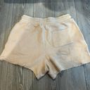 American Eagle Outfitters Orange Shorts Photo 1