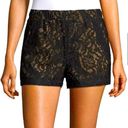 BCBG MAX AZRIA Black and Nude Shorts with Pockets. Size Medium. Photo 0